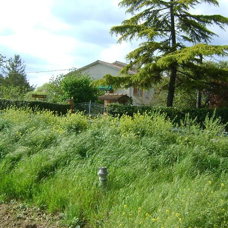 B&B La Mimosa Spello Luaran gambar