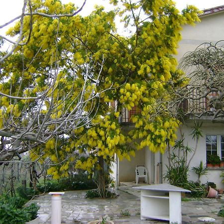 B&B La Mimosa Spello Luaran gambar