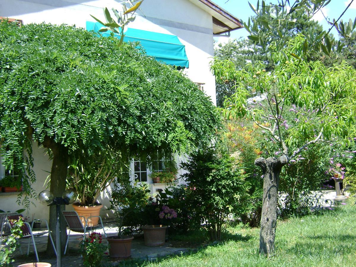 B&B La Mimosa Spello Luaran gambar